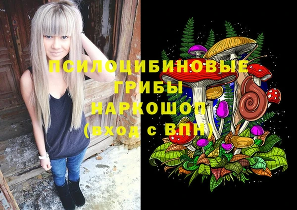 спиды Арсеньев