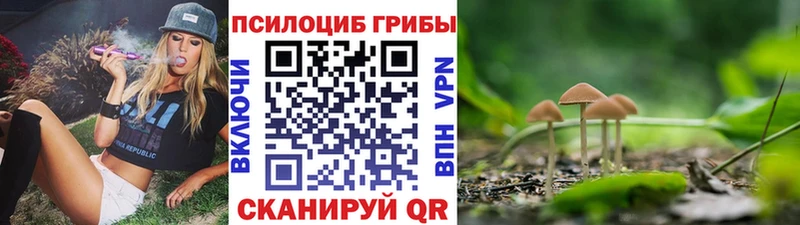 Псилоцибиновые грибы мицелий Камбарка